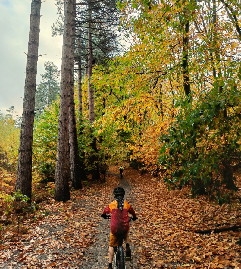 October Overview